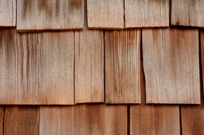 Shiplap Siding Repair detail