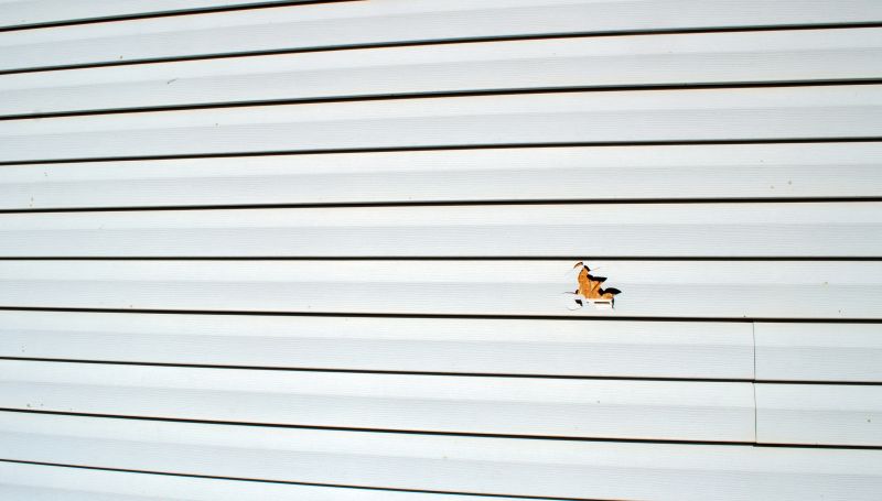 Expert Repair Inspection